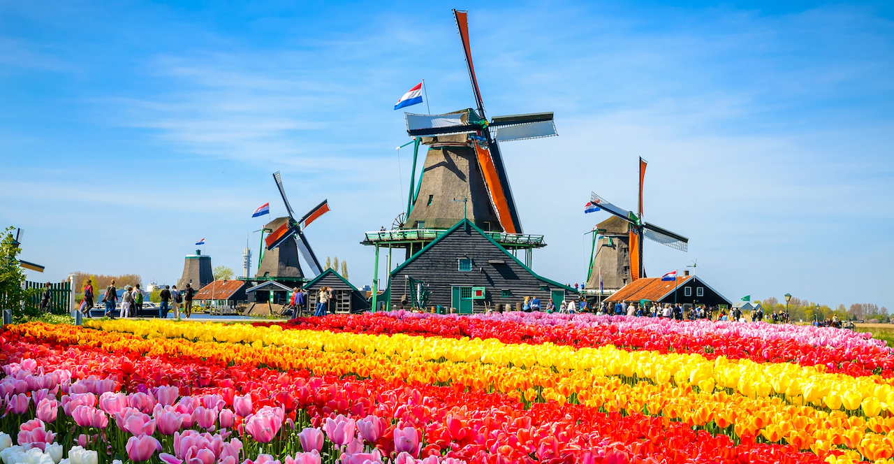 ロゼッタストーン Dutch オランダ語