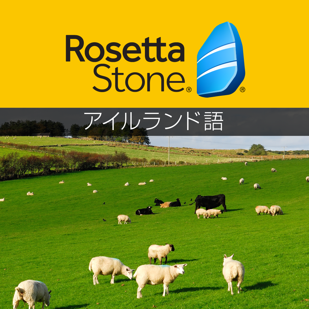ン 大人気 新品 ノ ロゼッタストーン アイルランド語 - 語学学習ソフト｜RosettaStone 外国語